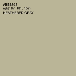 #BBB598 - Heathered Gray Color Image